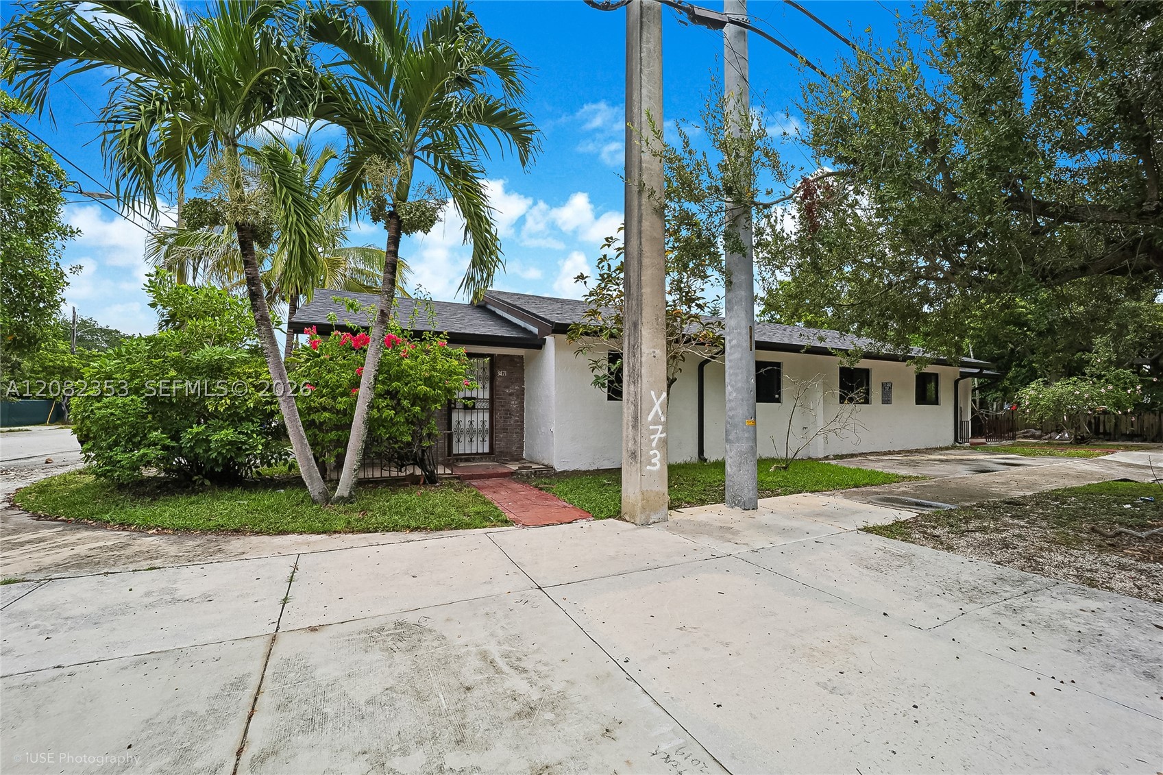 Miami photo 4