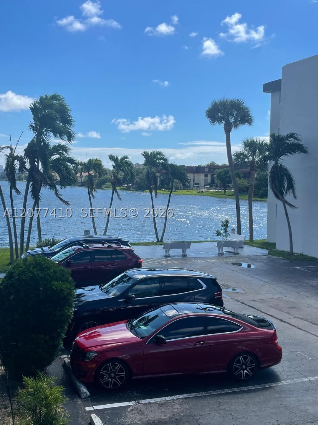 Miami photo 1