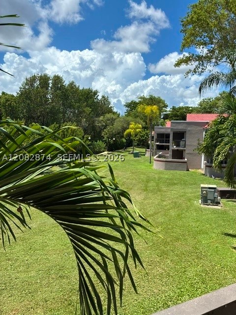 Miami photo 4