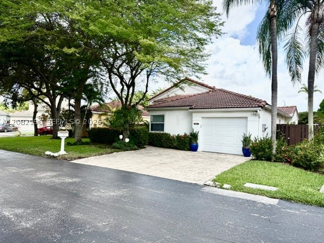 Miami photo 4