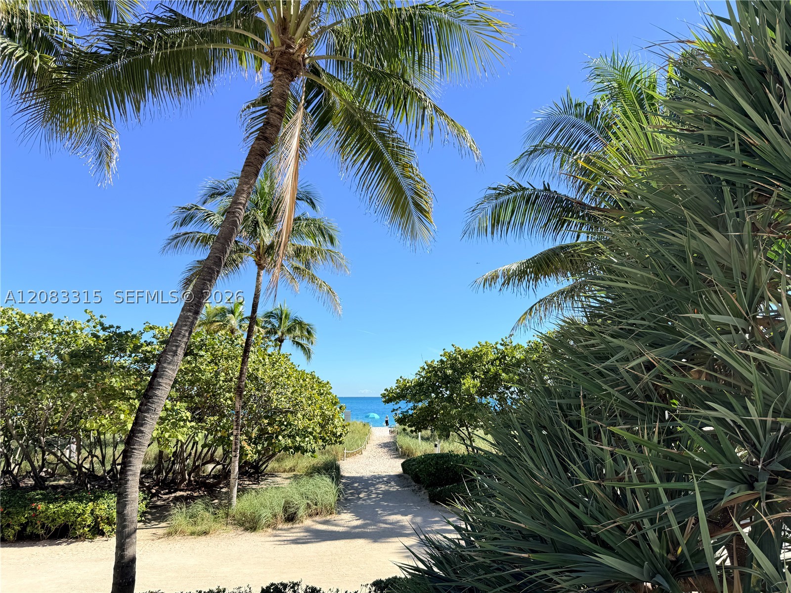 Bal Harbour photo 2