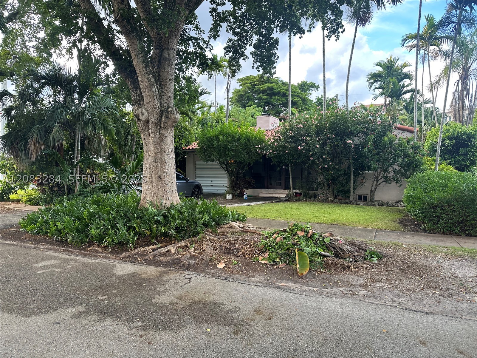 Coral Gables photo 3