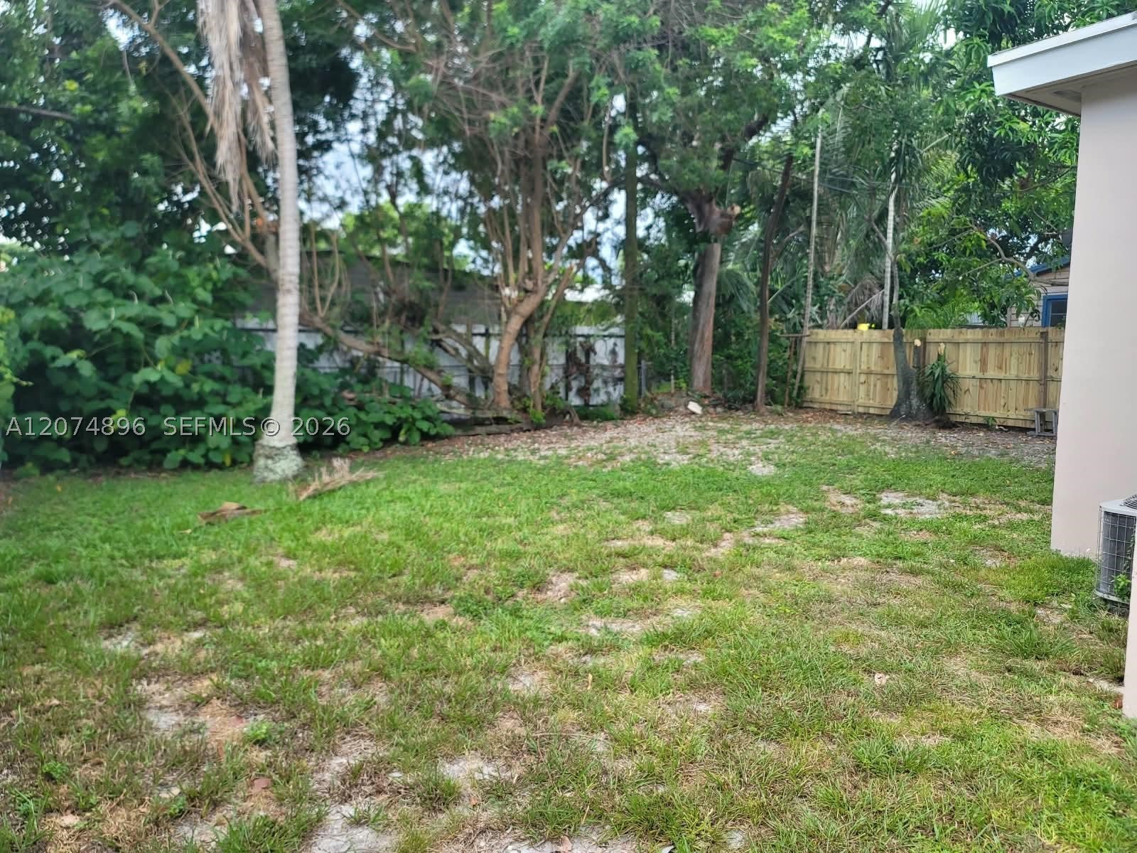 Miami photo 4