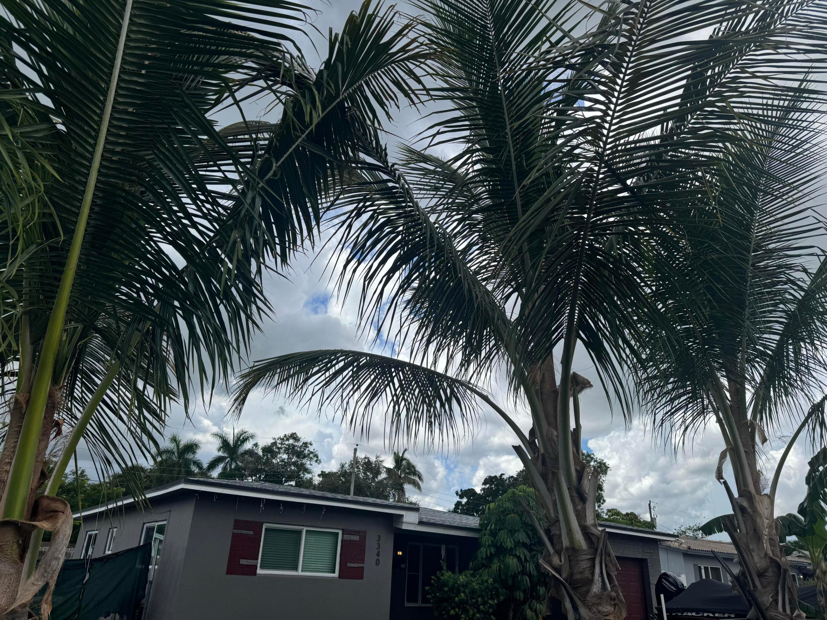 Fort Lauderdale photo 1