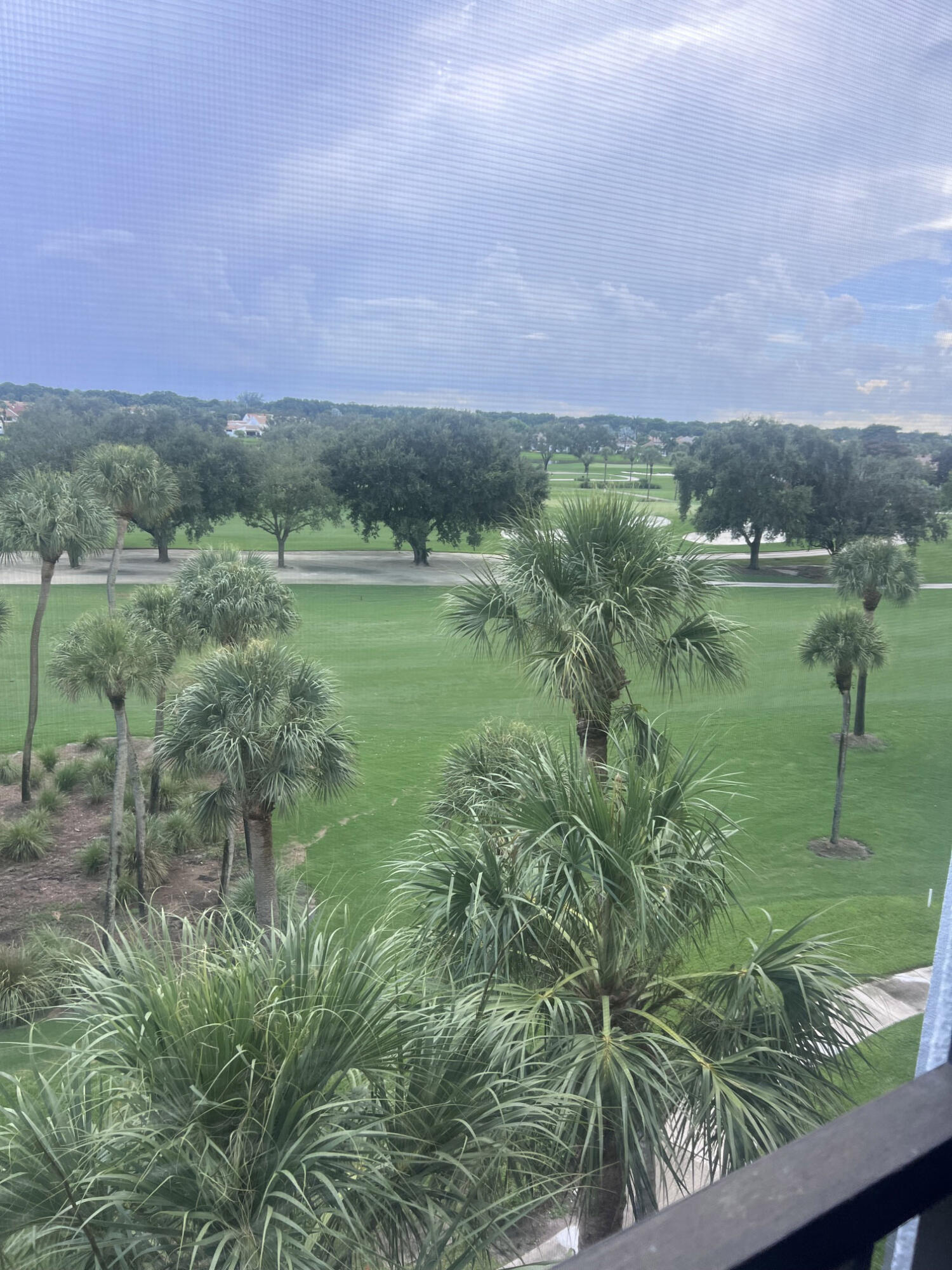 Boca Raton photo 4