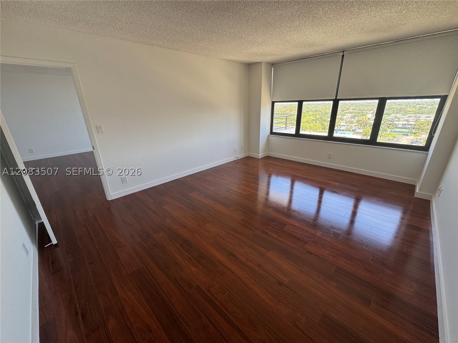 Hallandale Beach photo 5