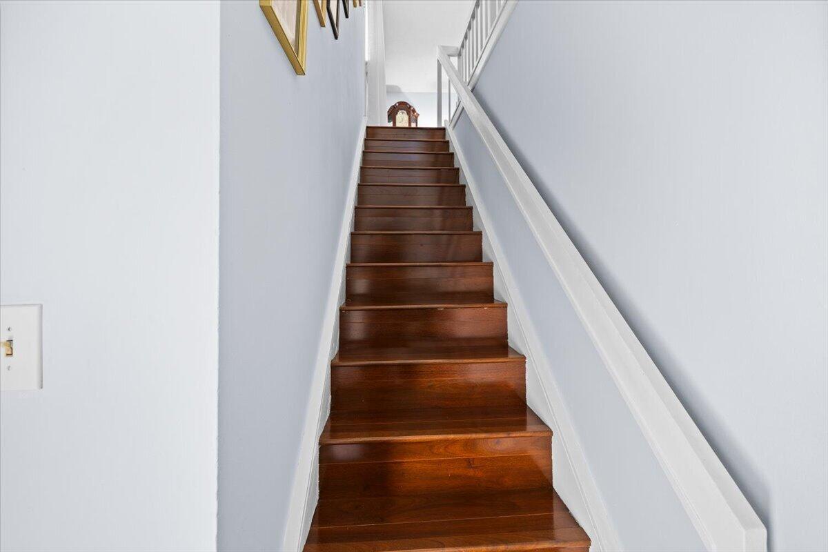 Plantation photo 5