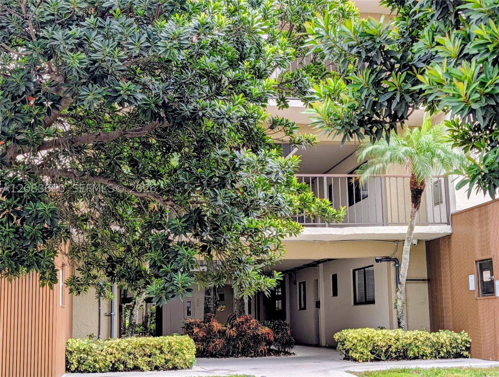 Miami photo 2