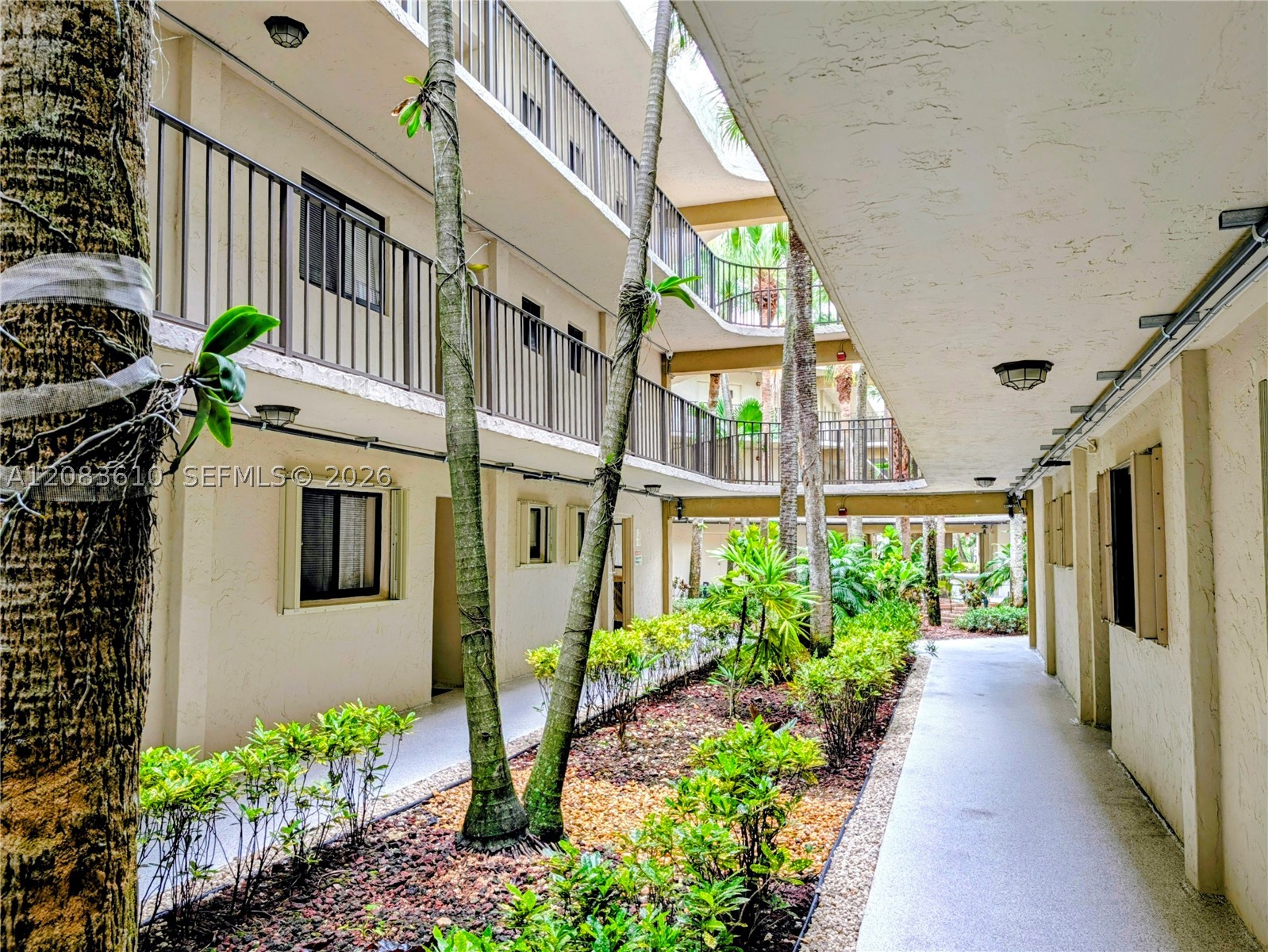 Miami photo 3