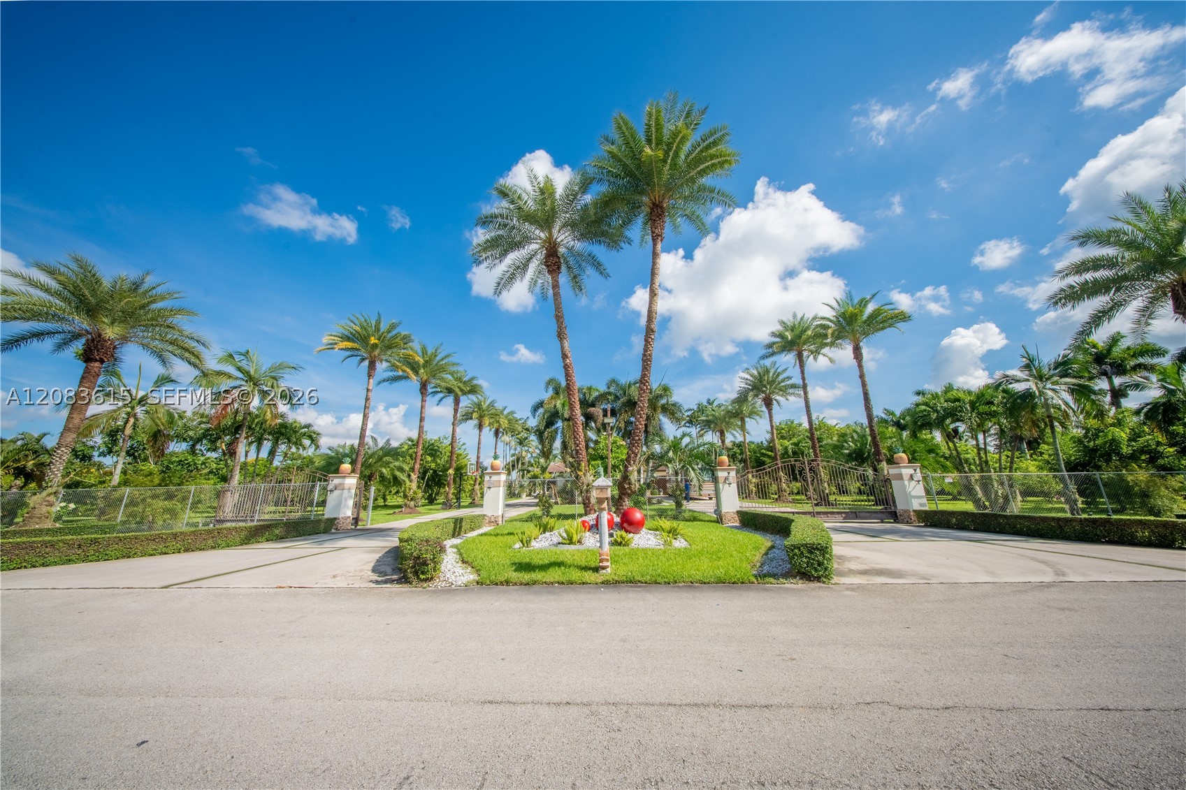 Miami photo 4