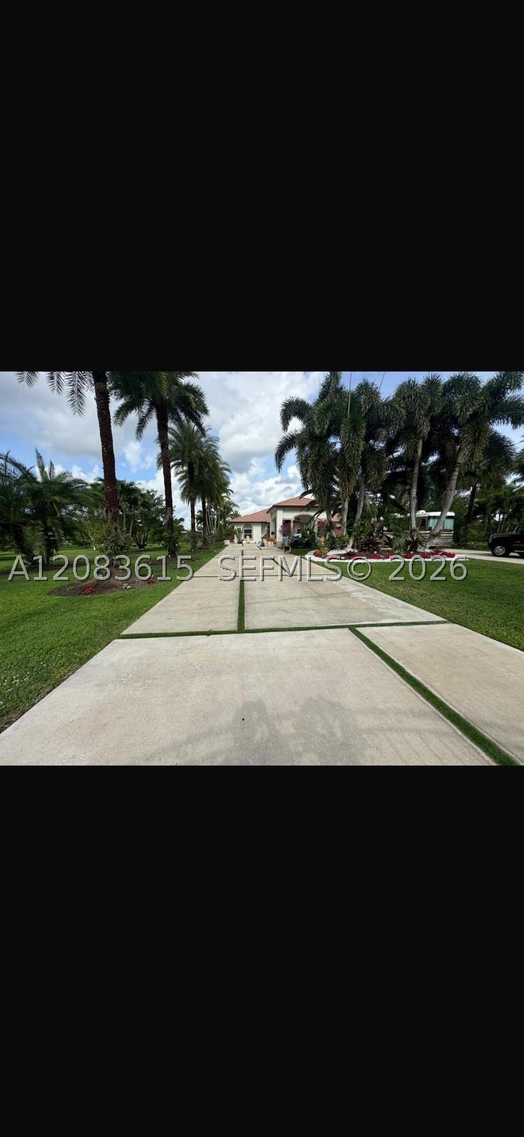 Miami photo 4