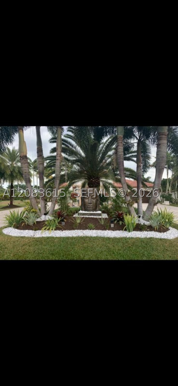 Miami photo 5