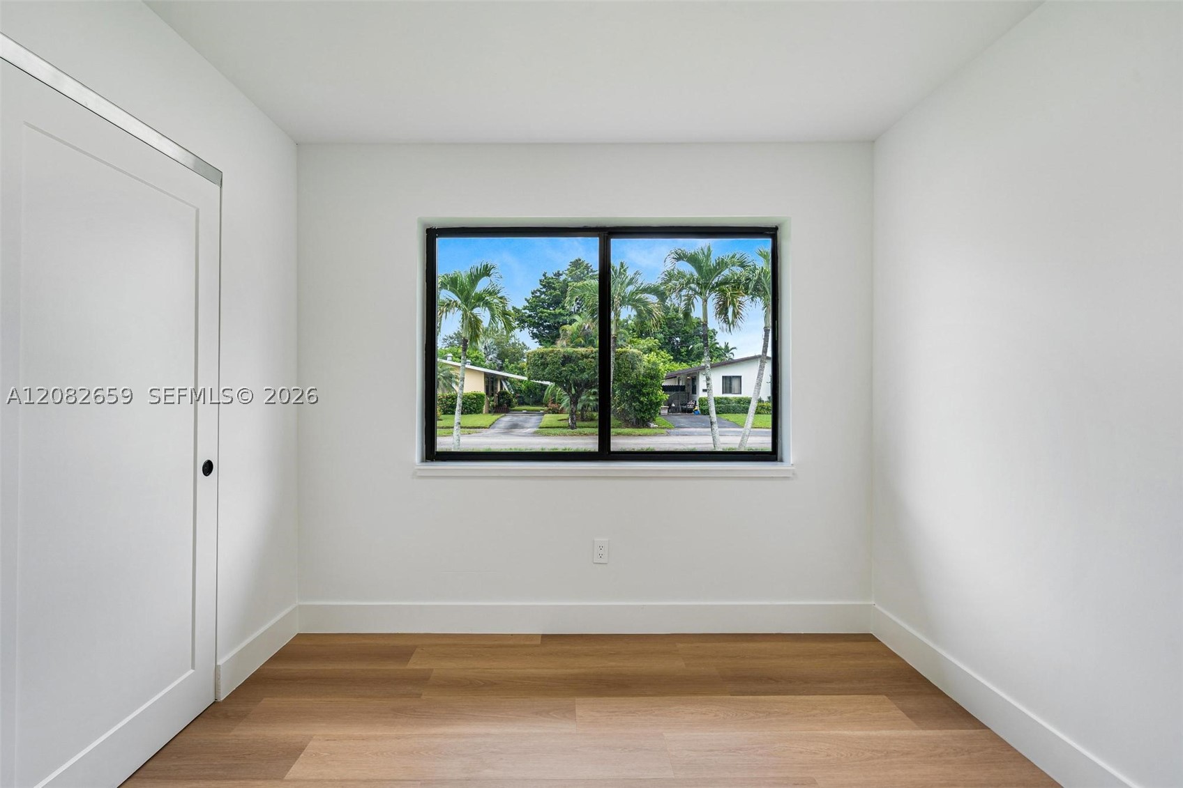Miami photo 5