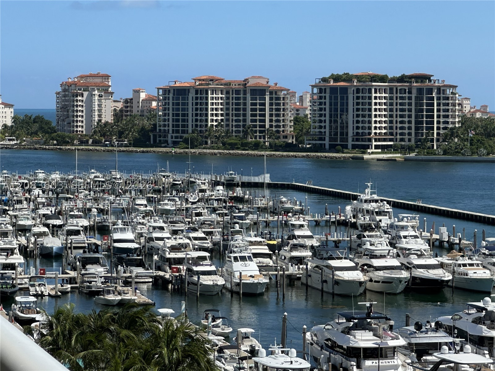 Miami Beach photo 5
