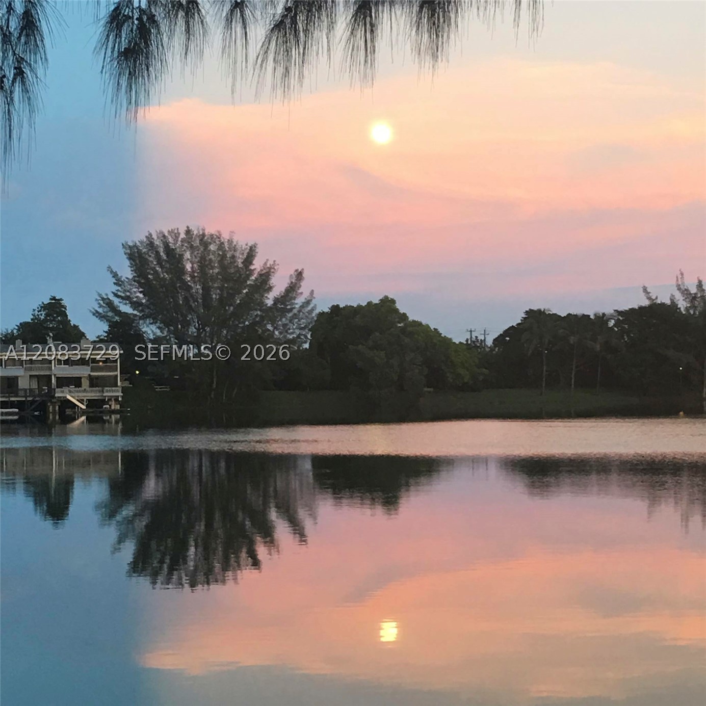 Miami photo 1