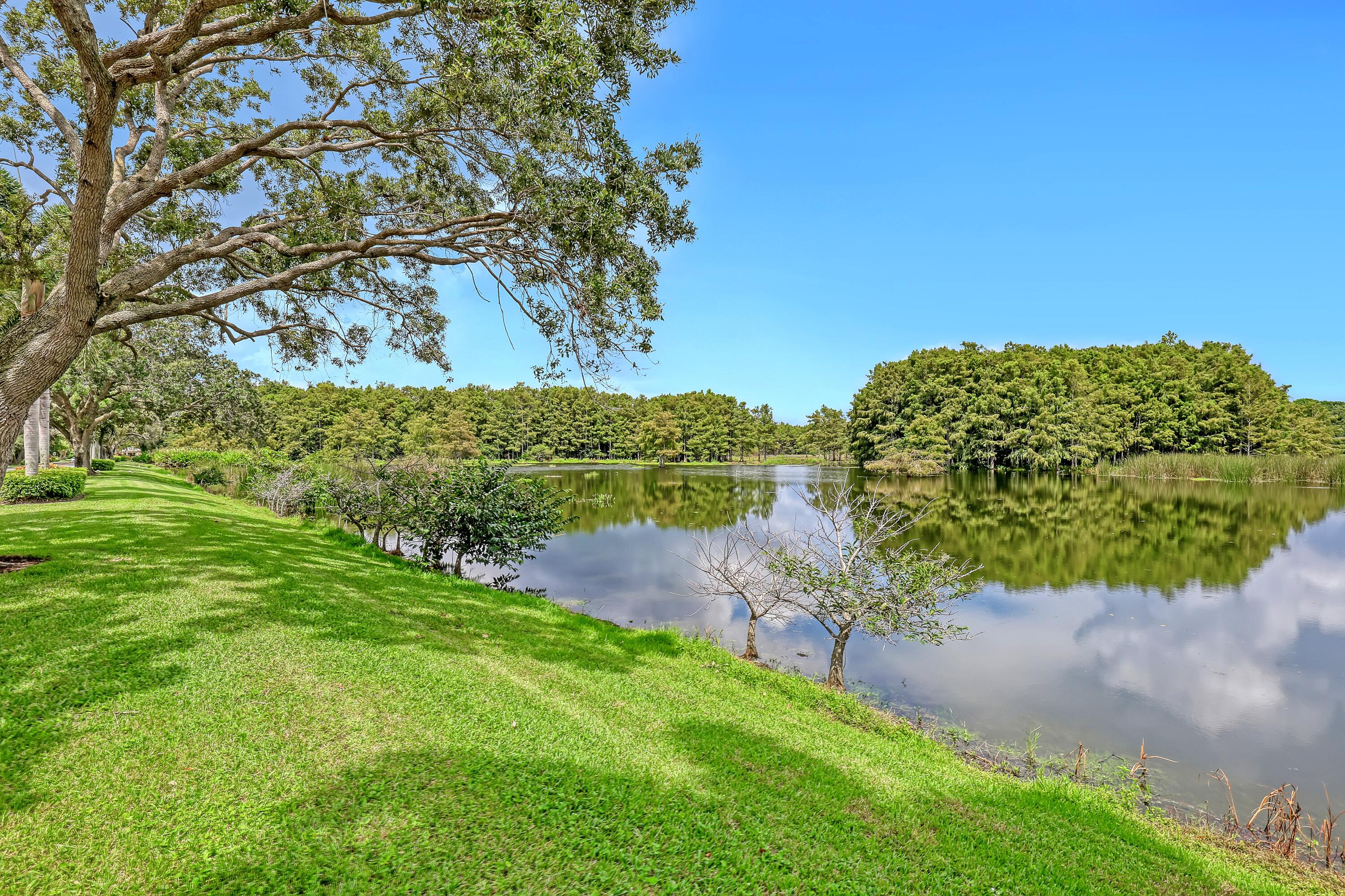 Palm Beach Gardens photo 2