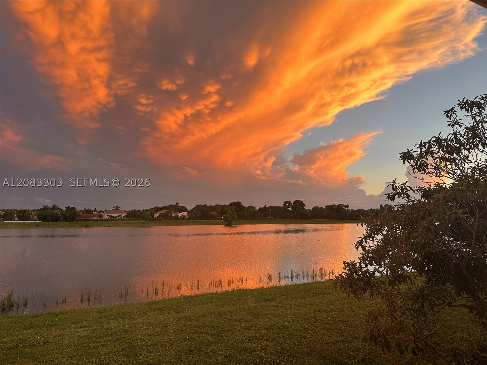 Boca Raton photo 3