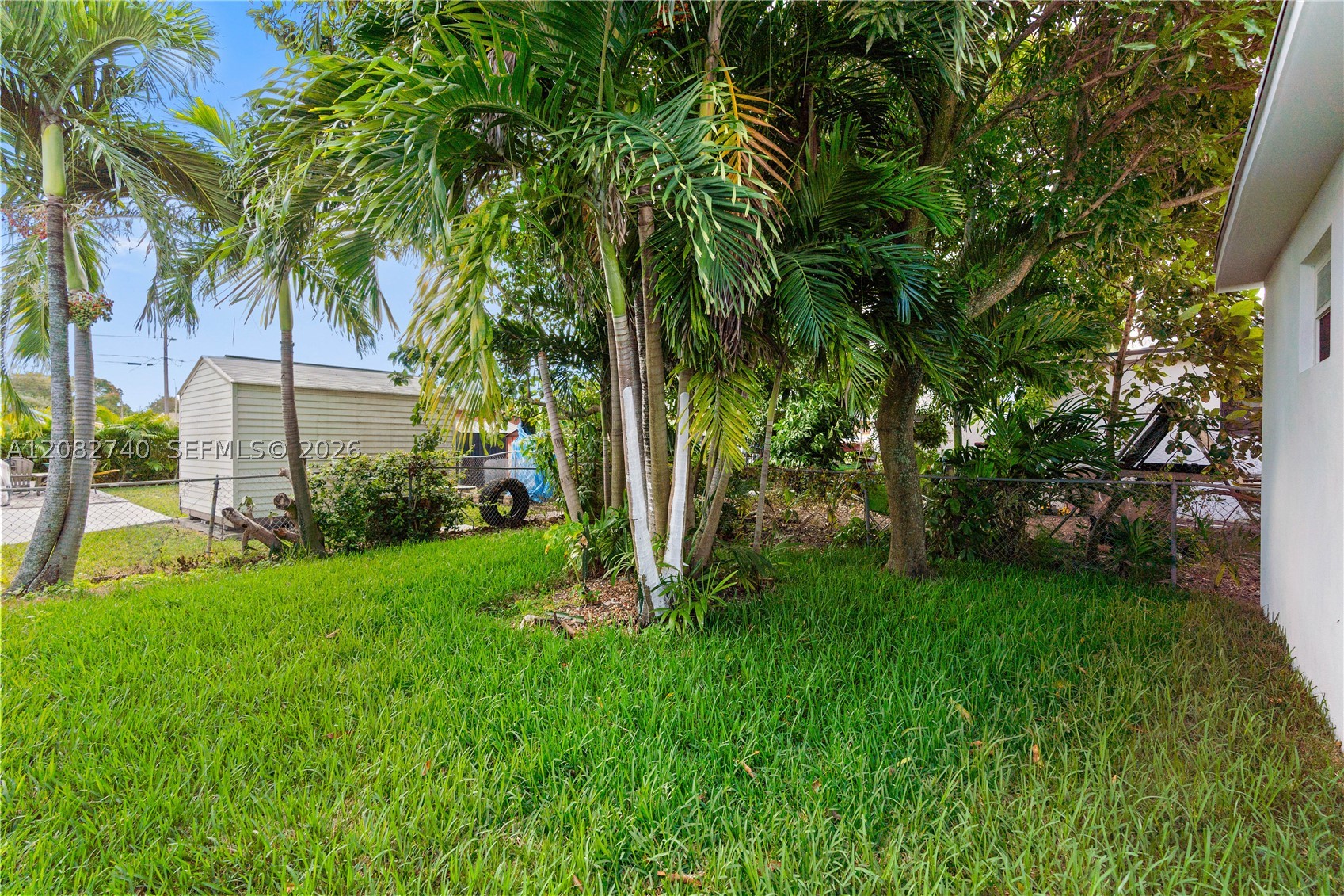 Miami photo 5