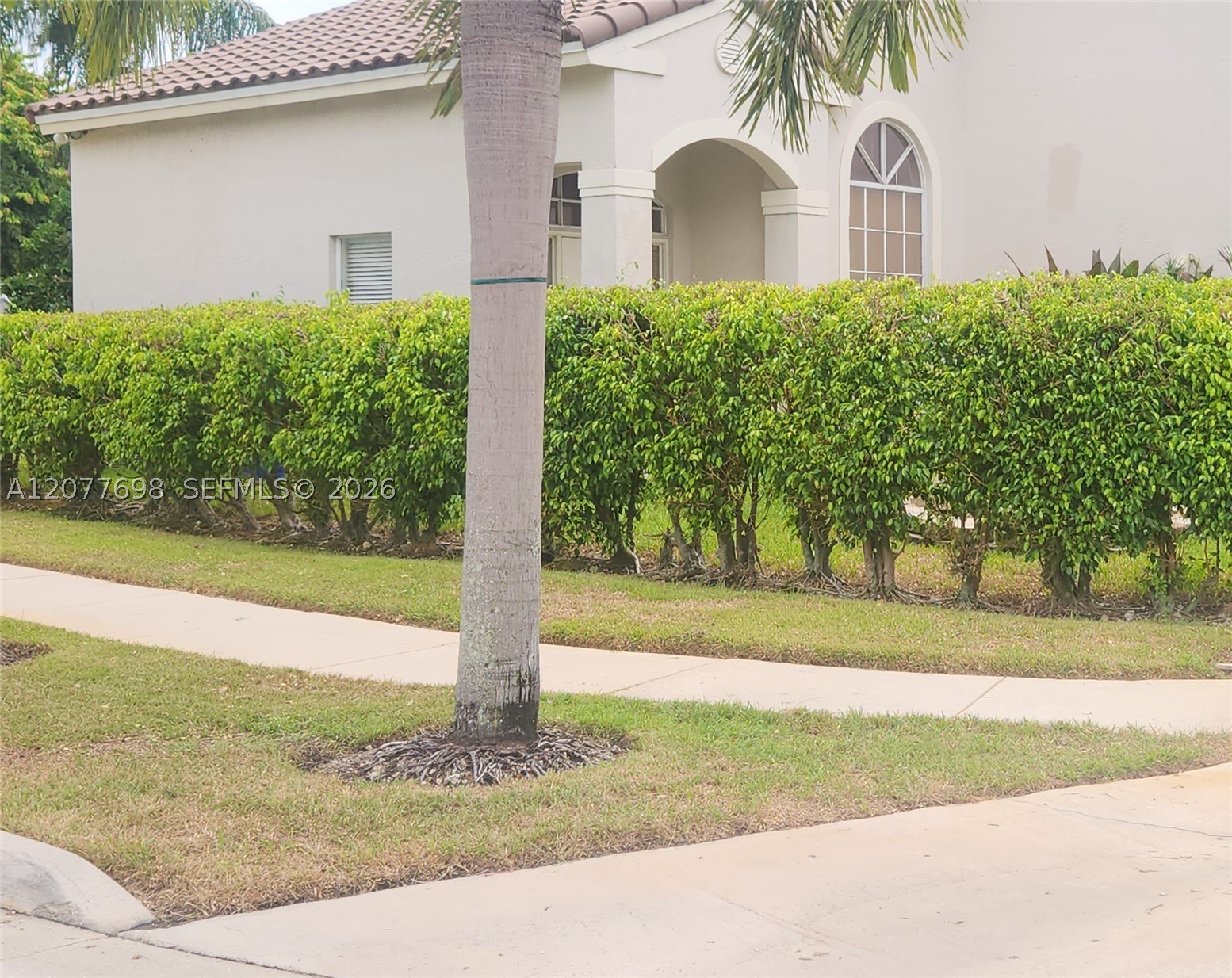 Pembroke Pines photo 3