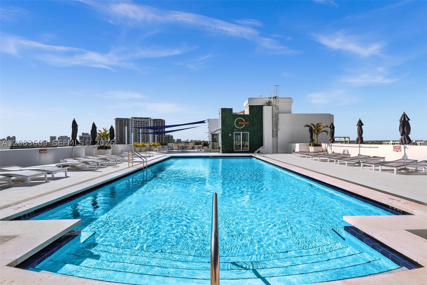 Hollywood photo 1