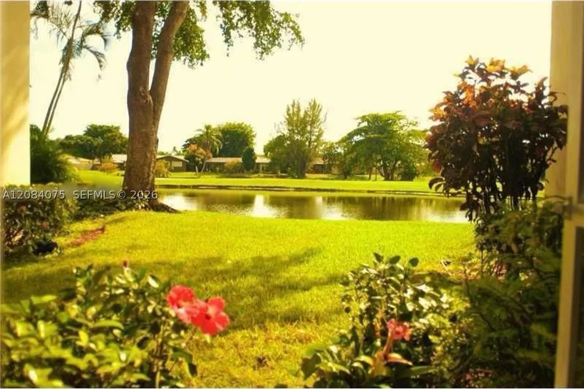 Davie photo 1