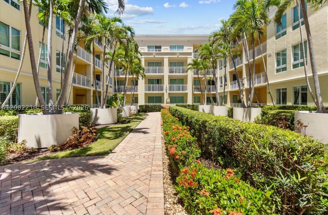 Miami photo 5