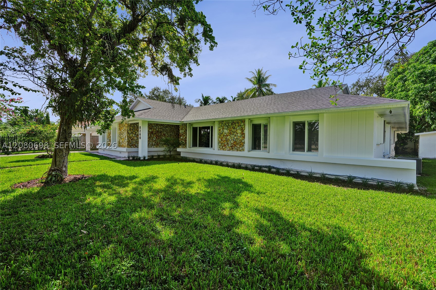 Miami photo 4
