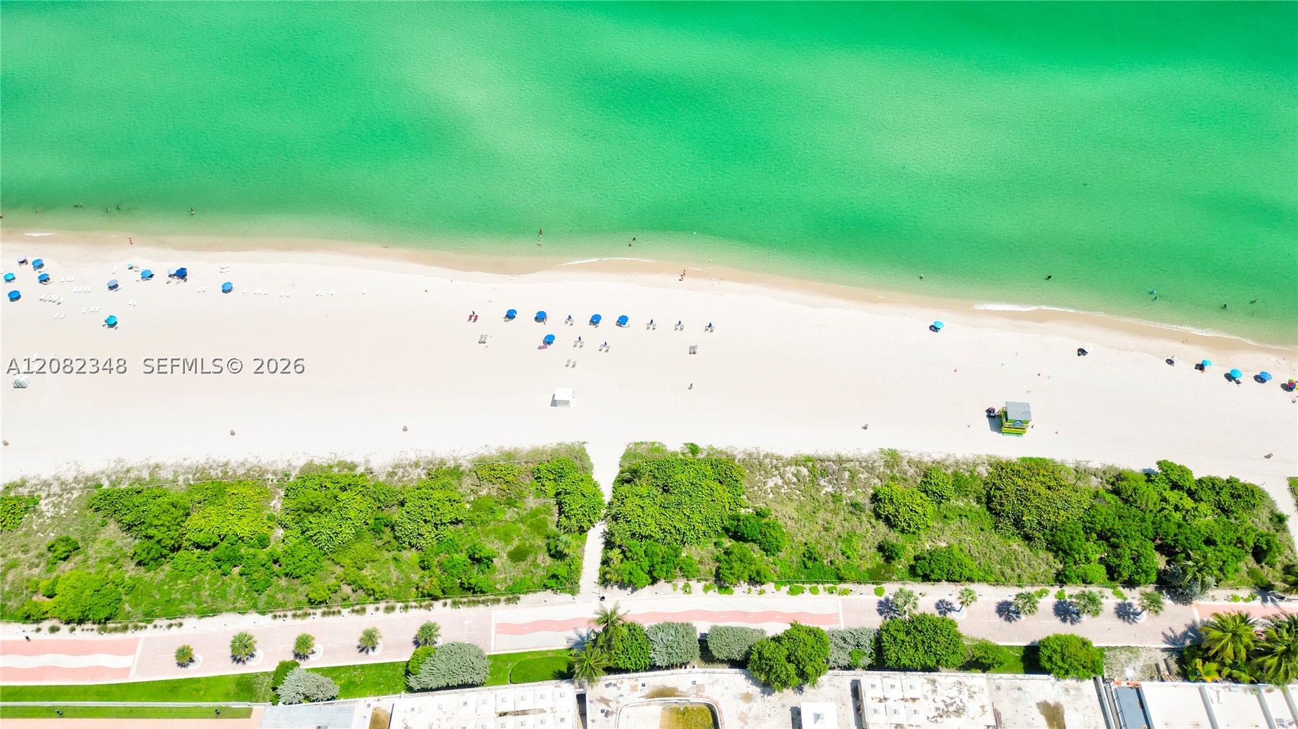 Miami Beach photo 4