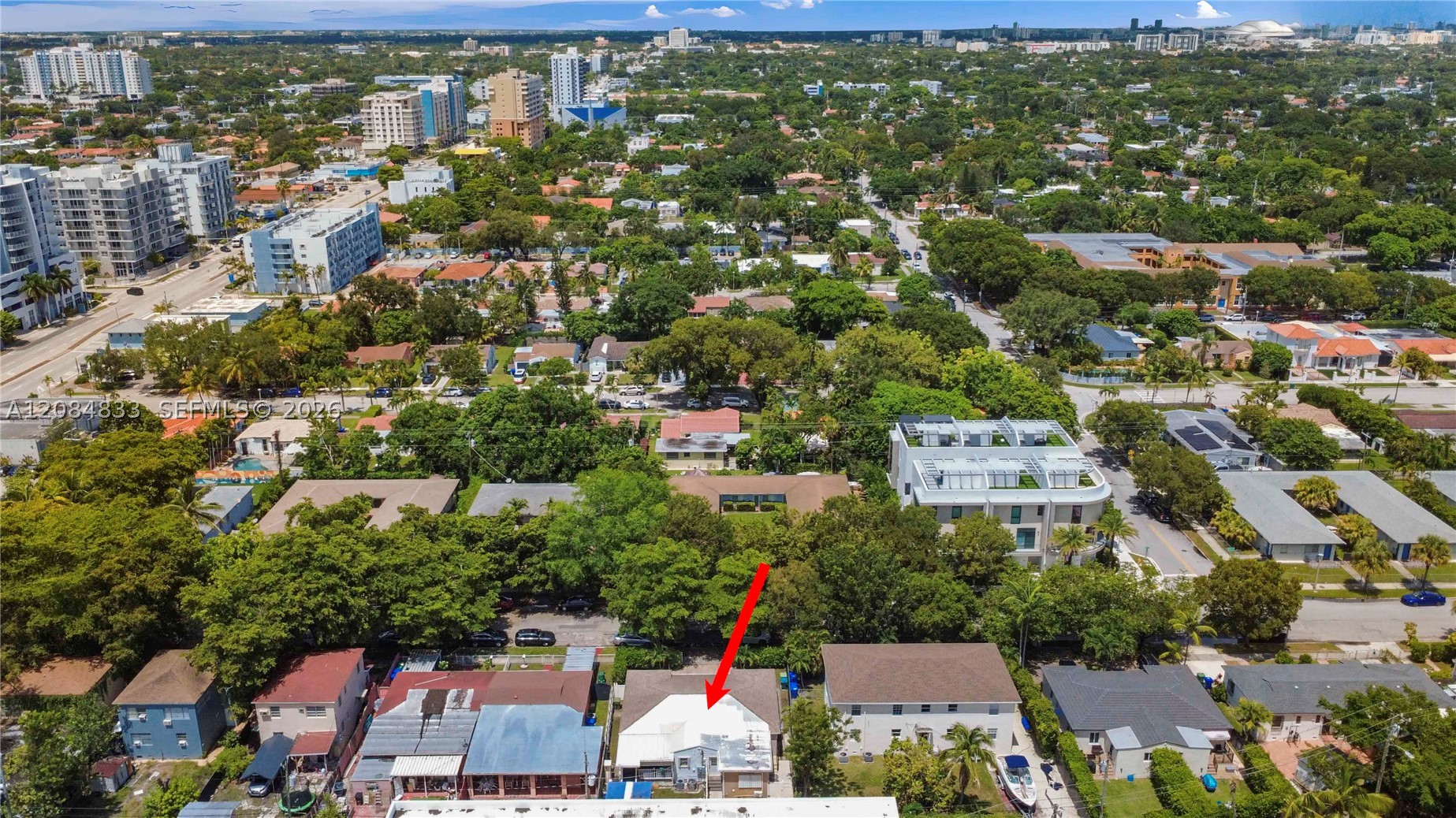Miami photo 4