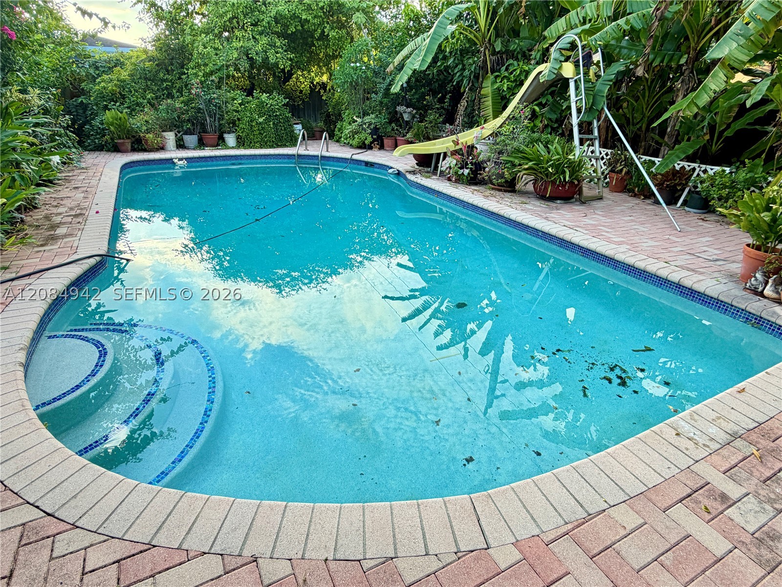 Miami photo 3