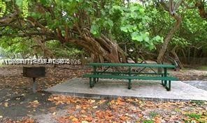 Miami Beach photo 3