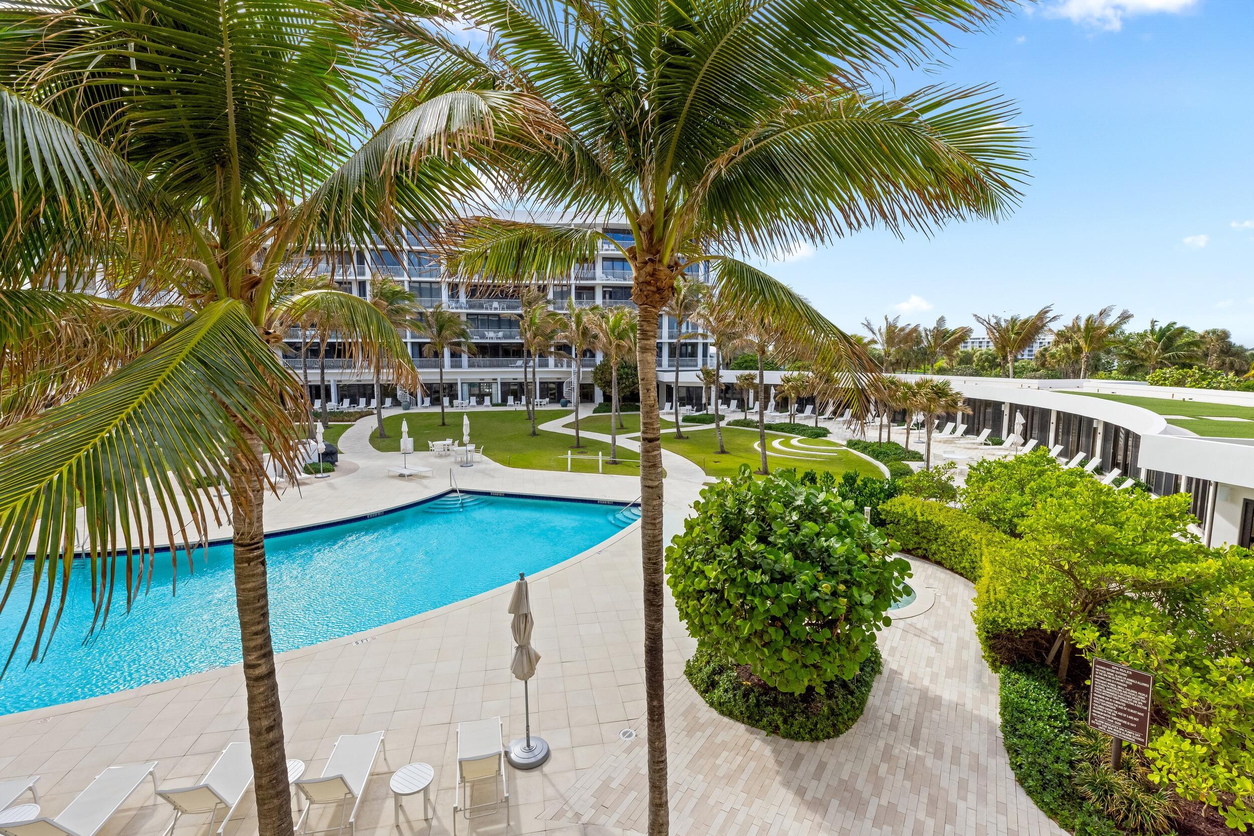 Palm Beach photo 3