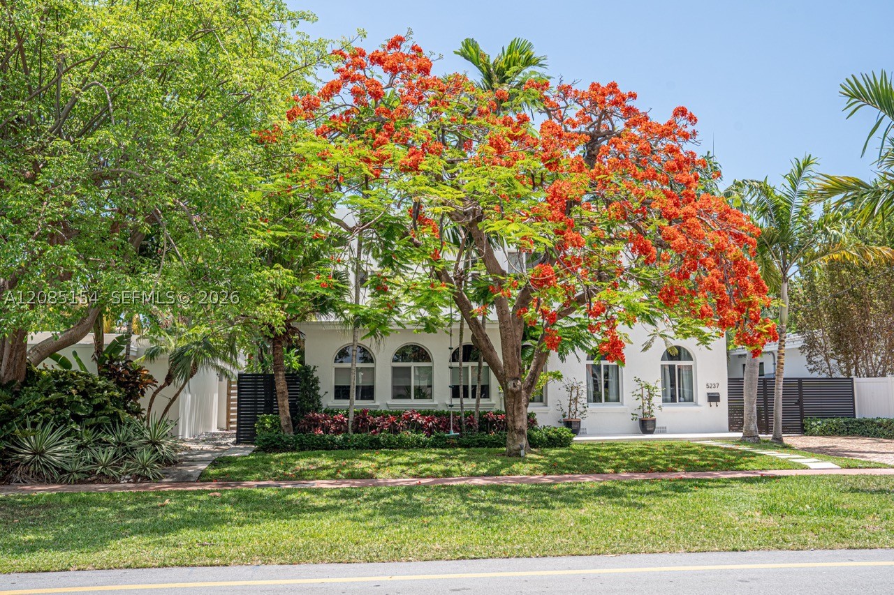 Miami Beach photo 2