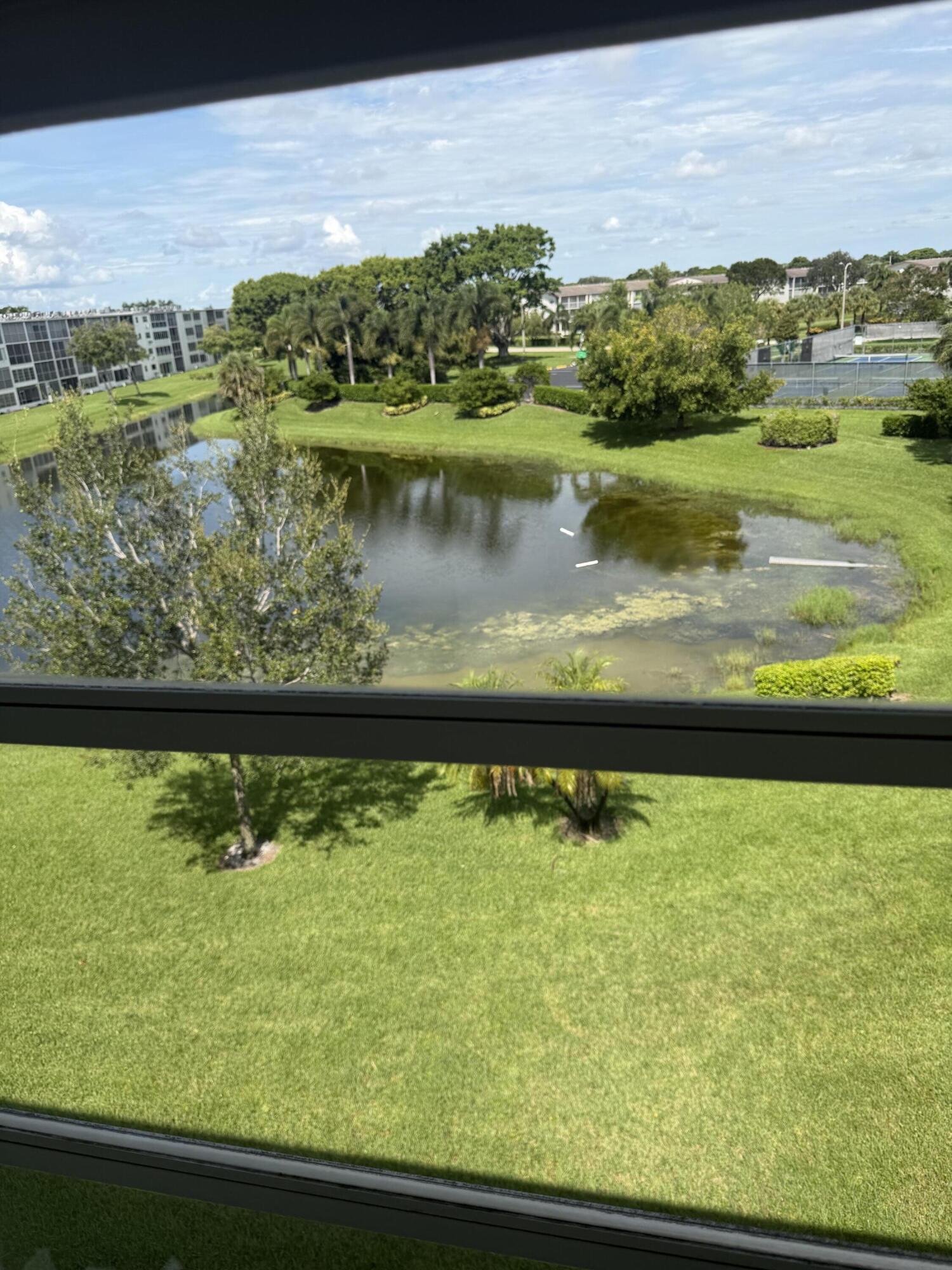 Boca Raton photo 5