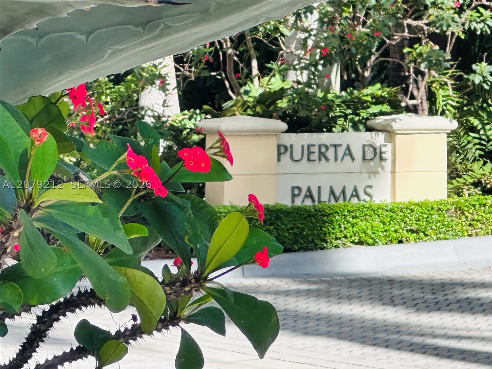 Coral Gables photo 3