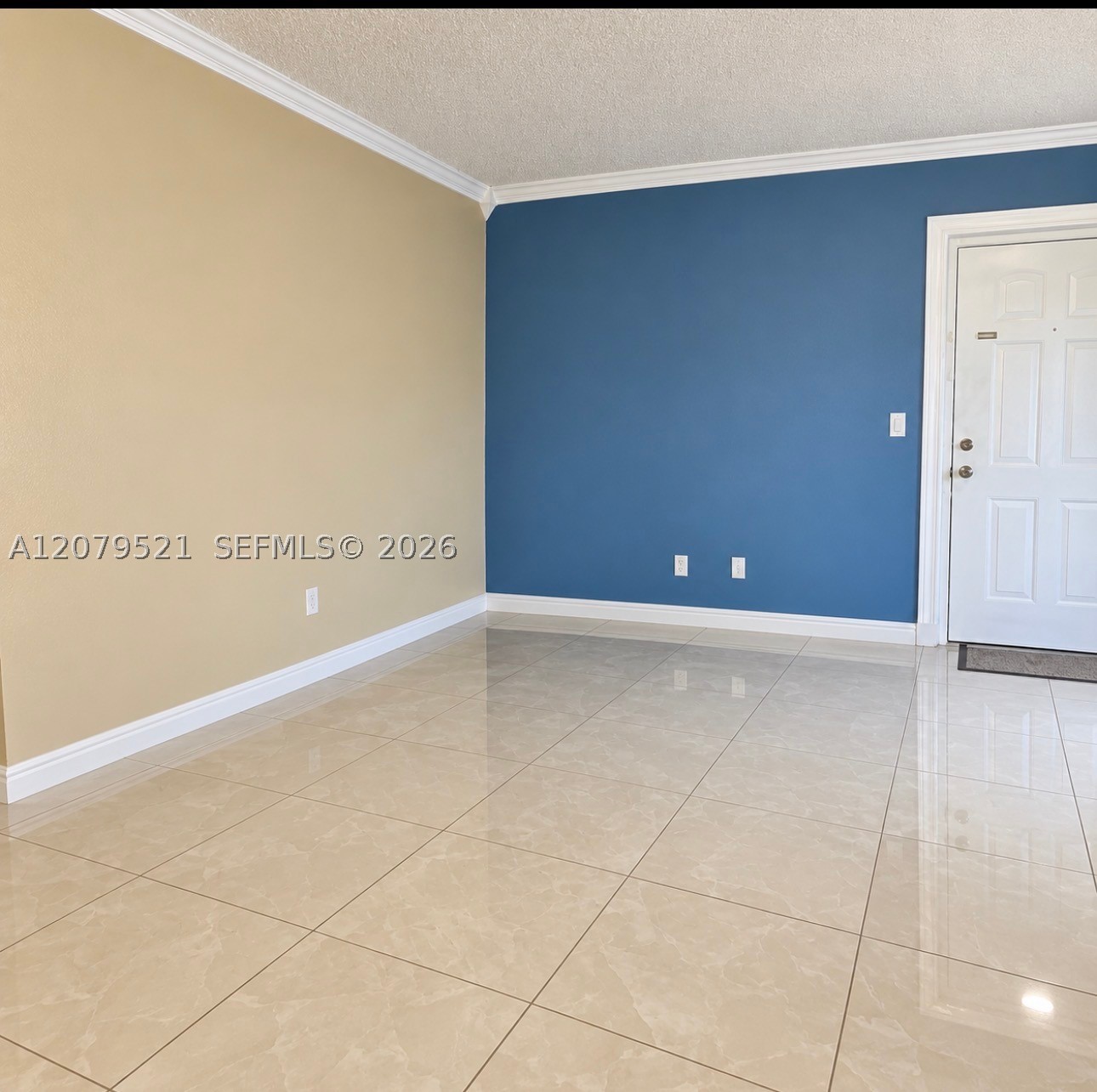Miami photo 5