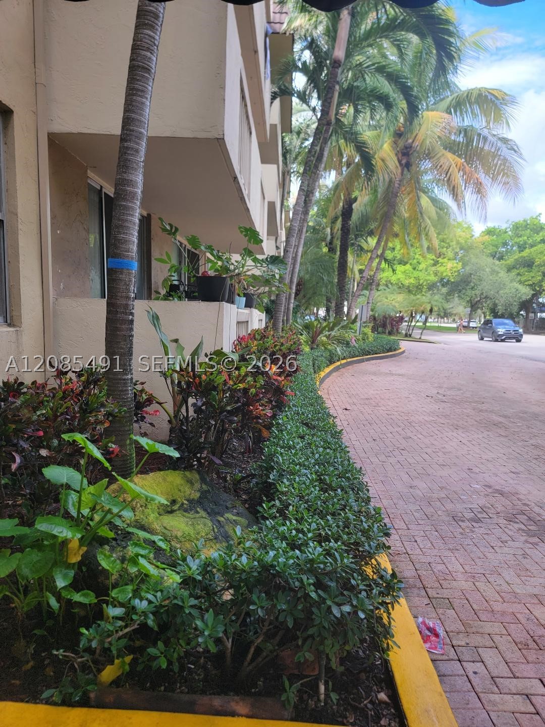 North Miami photo 2