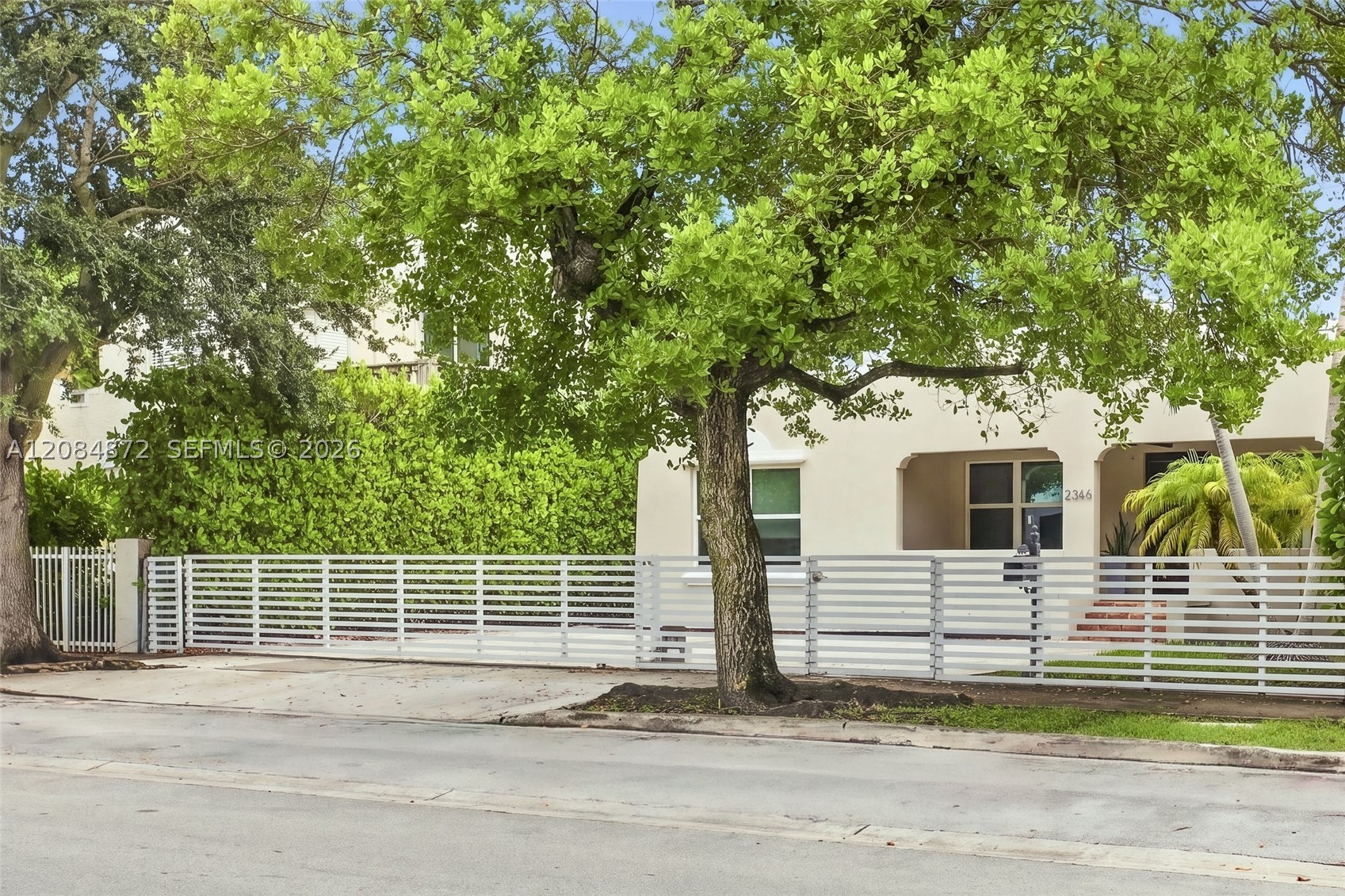 Miami photo 4