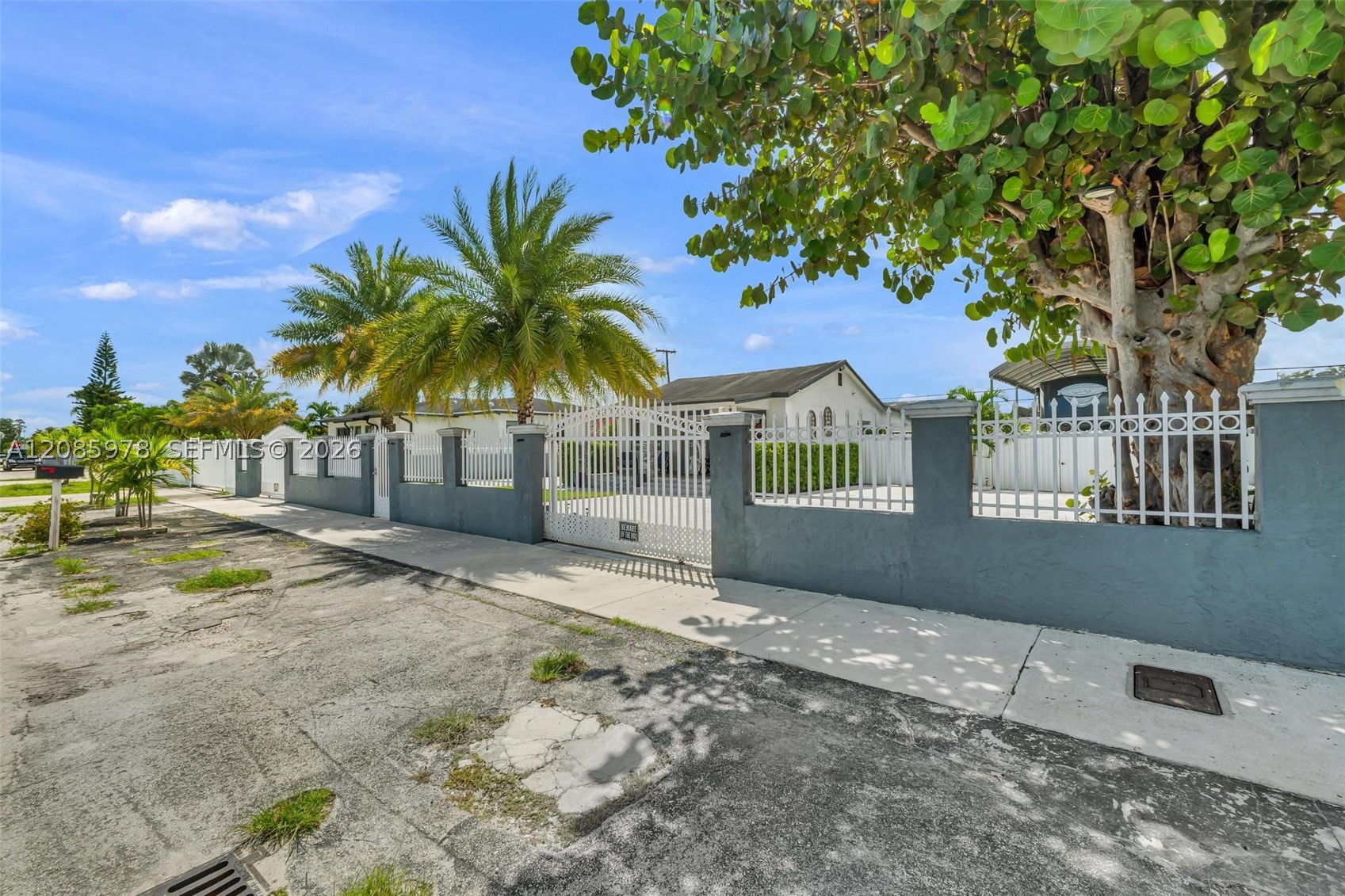 Miami photo 3