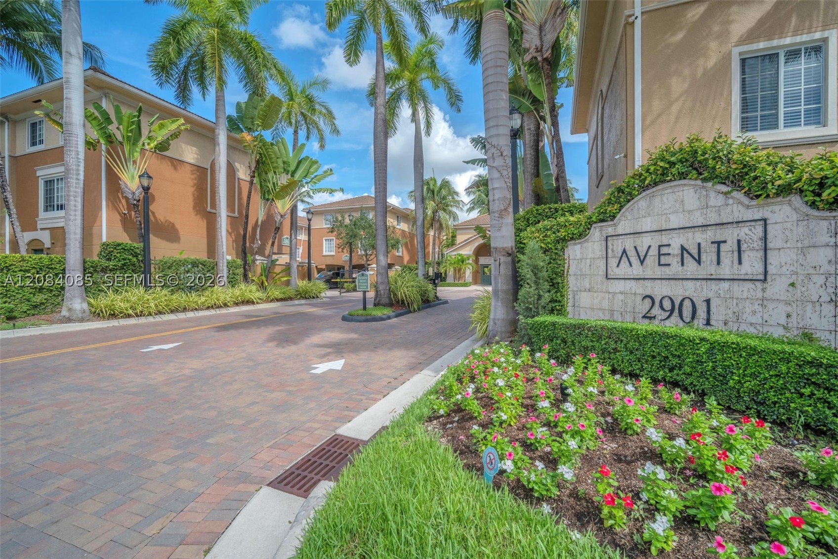 Aventura photo 4