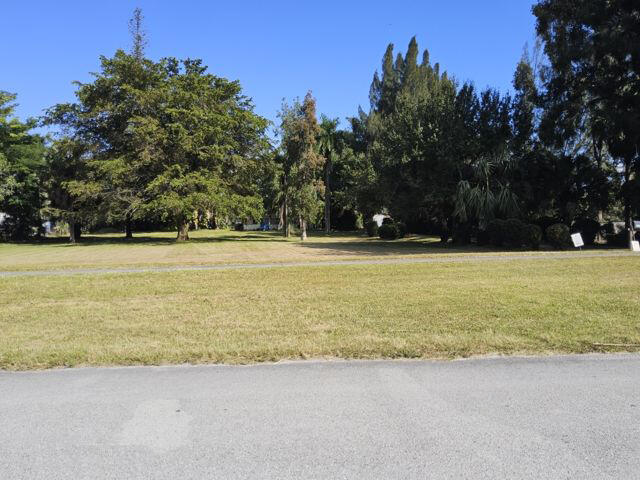 Fort Lauderdale photo 3