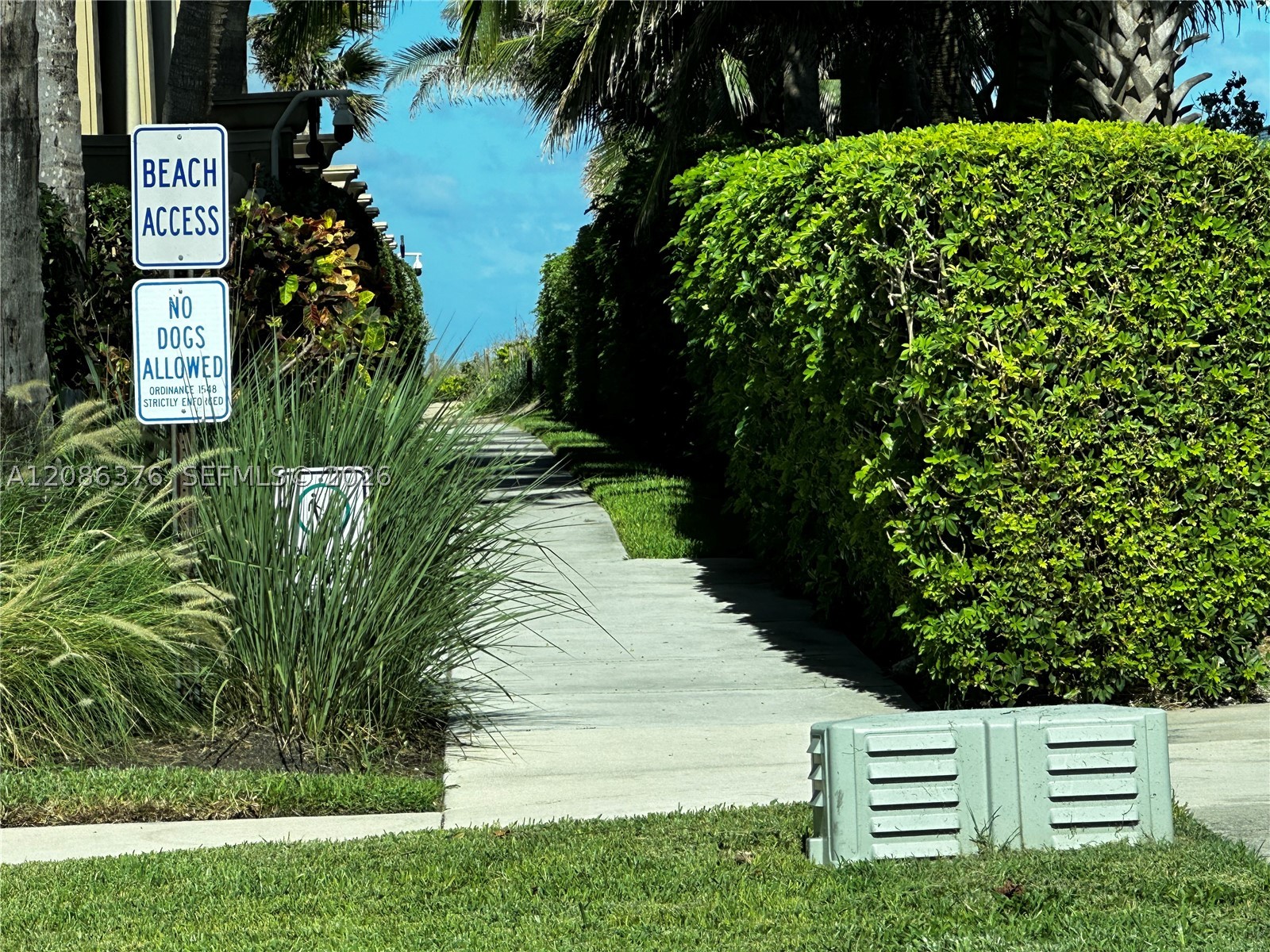 Boca Raton photo 4