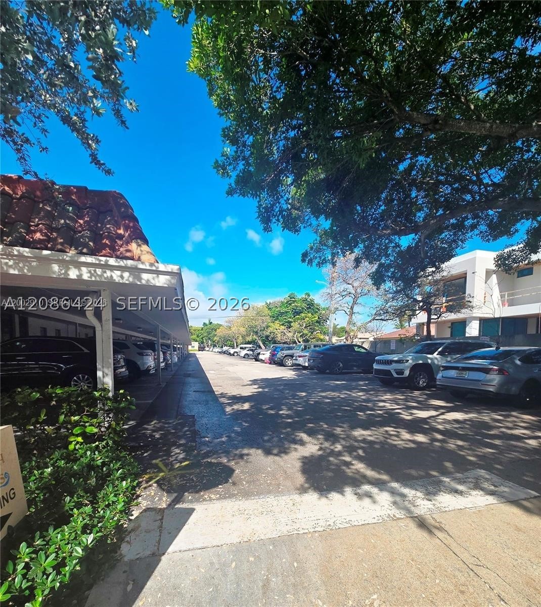 Boca Raton photo 4
