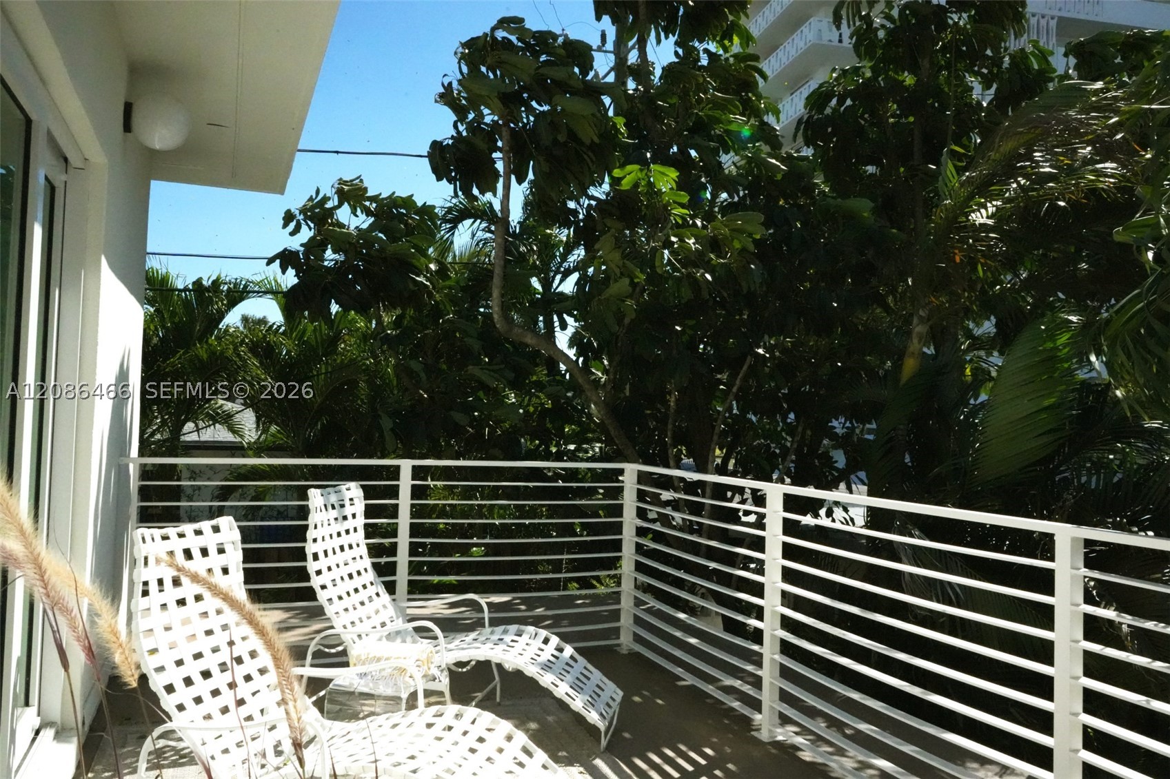 Fort Lauderdale photo 3