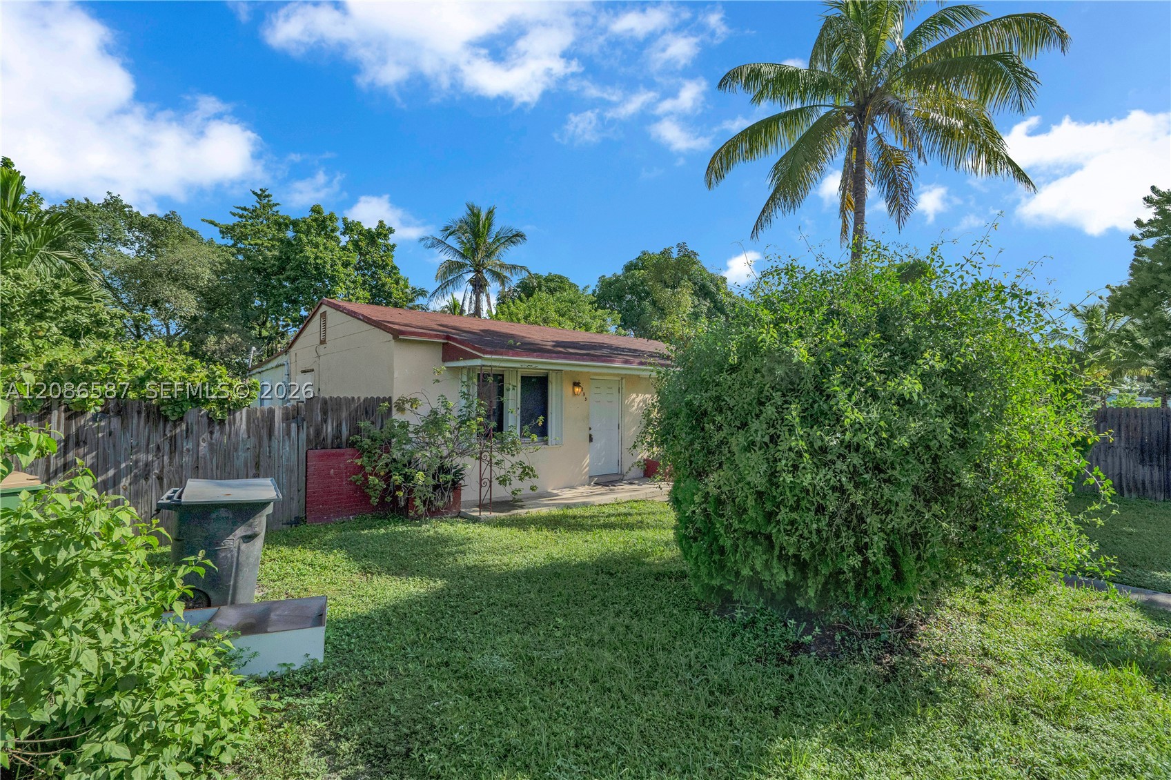 North Miami photo 5