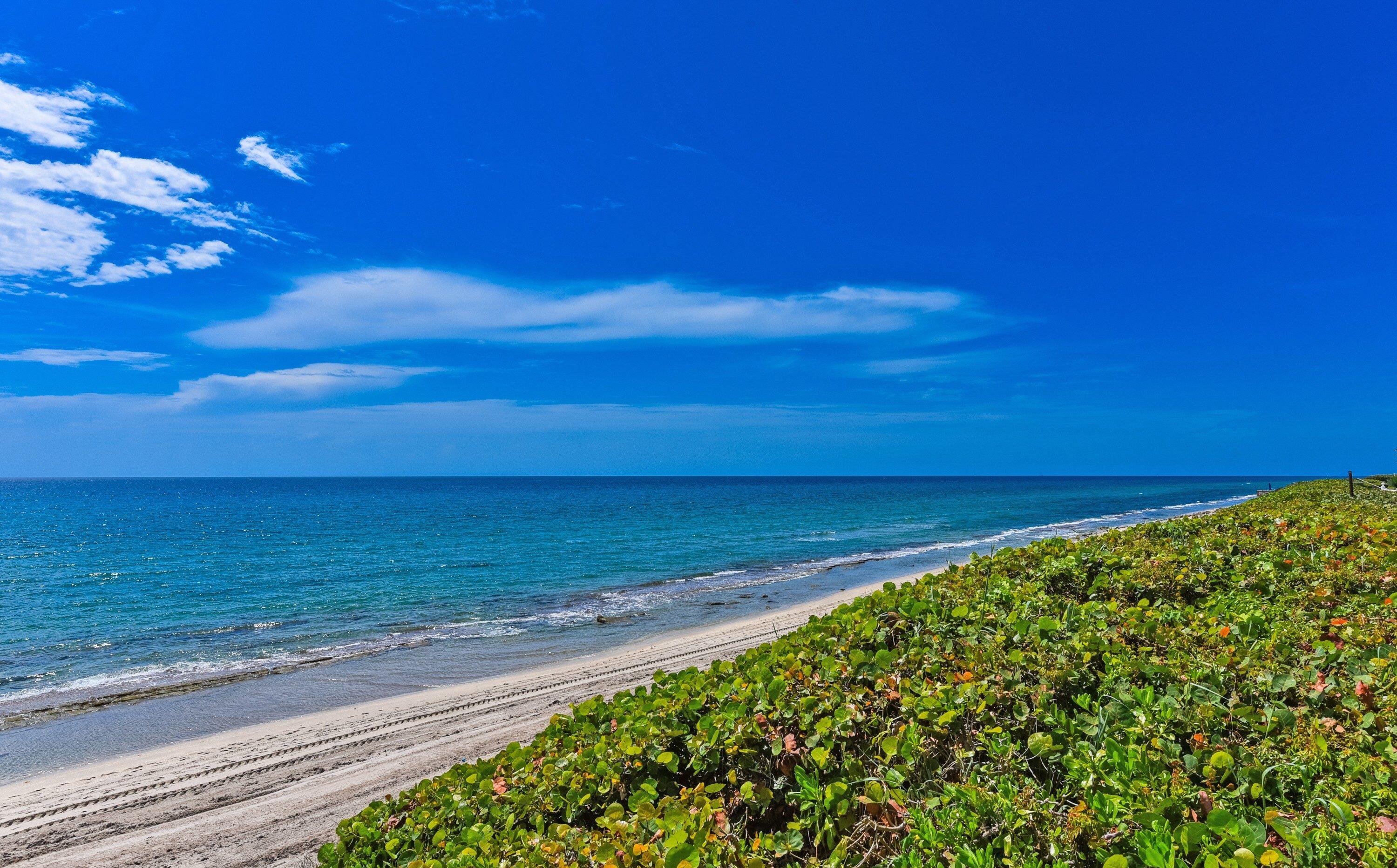 Palm Beach photo 2