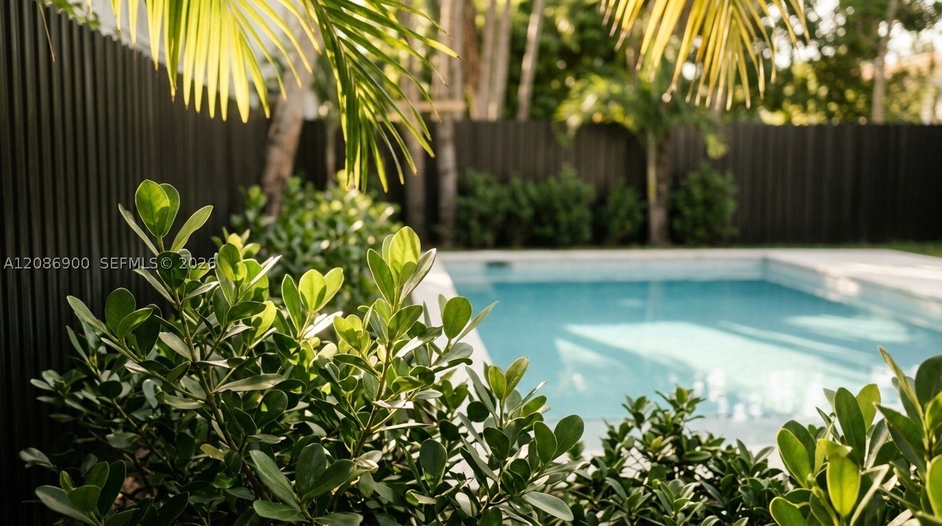 Miami photo 5