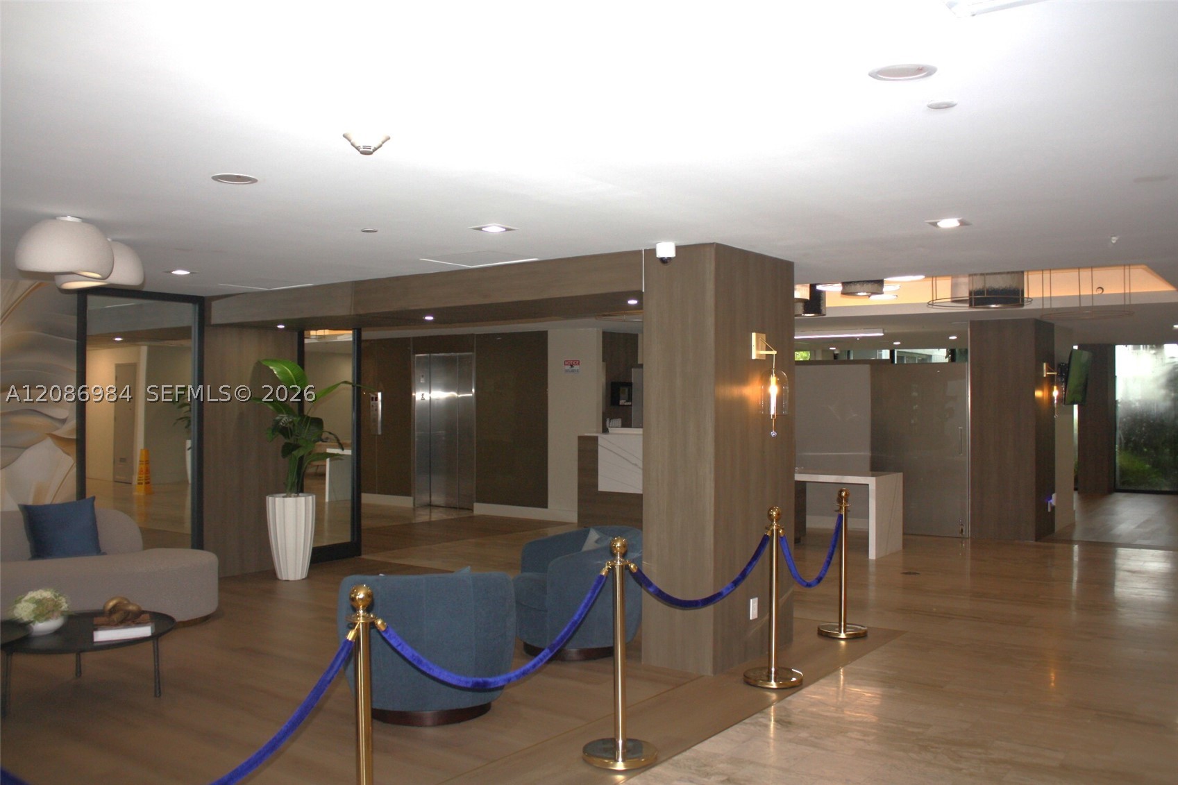 Hollywood photo 5