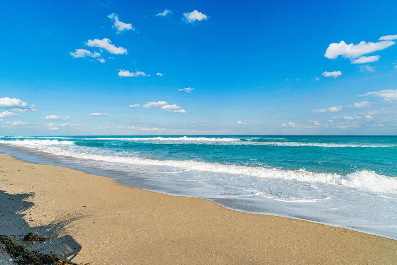Palm Beach