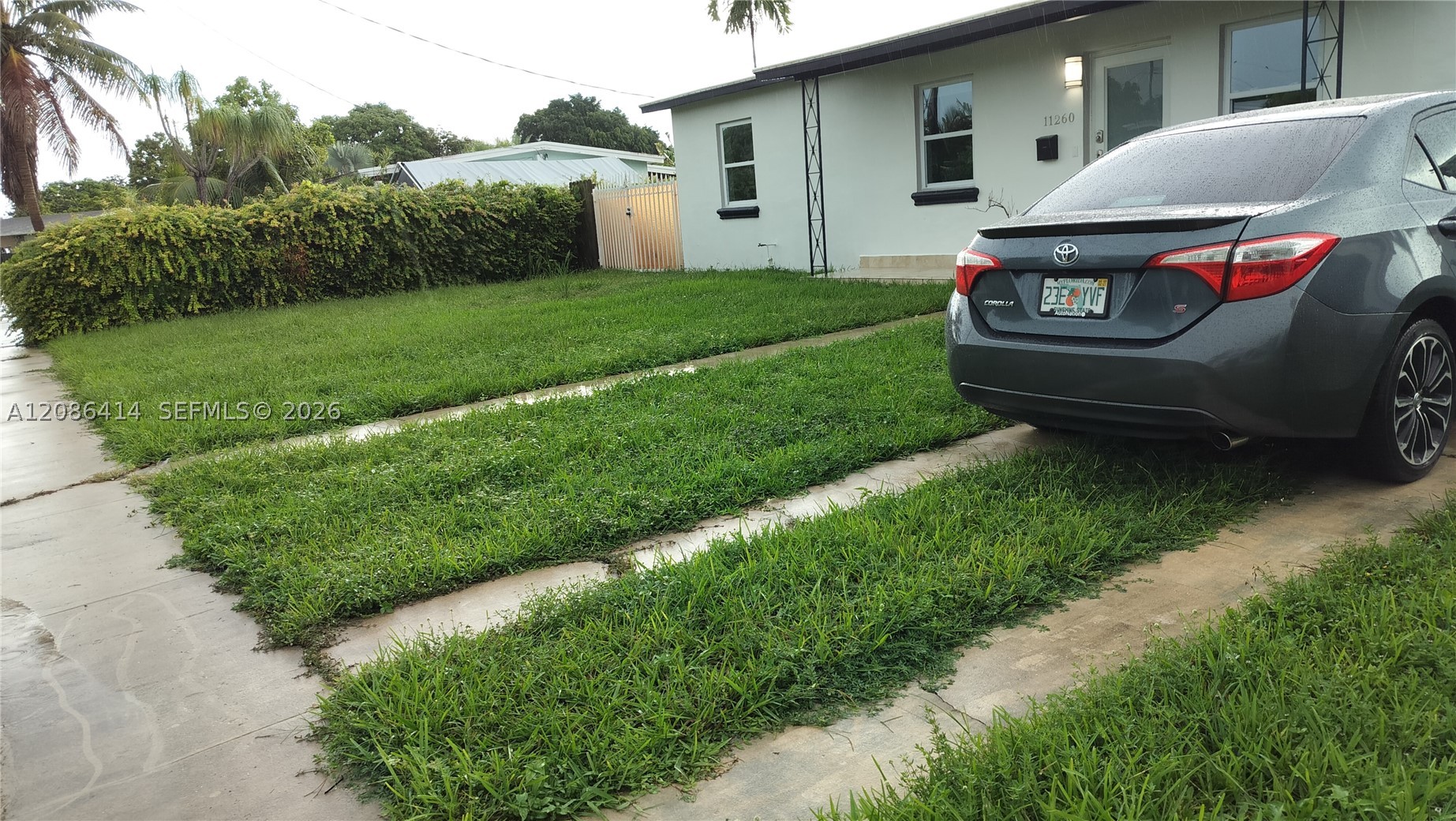 Miami photo 5
